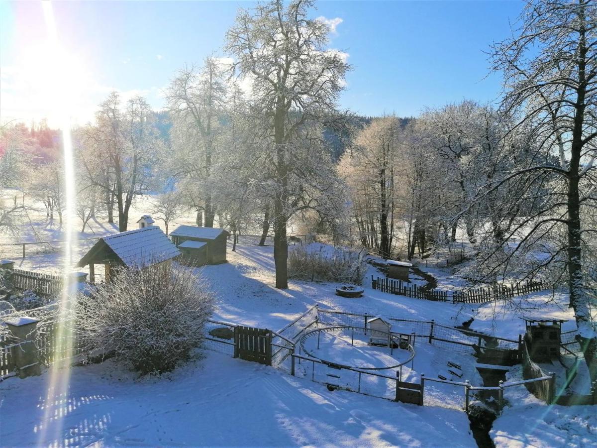 شقة Staudachhof Althofen  المظهر الخارجي الصورة