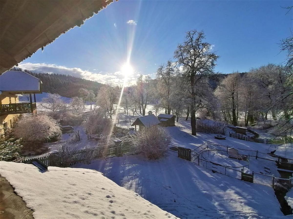 شقة Staudachhof Althofen  المظهر الخارجي الصورة