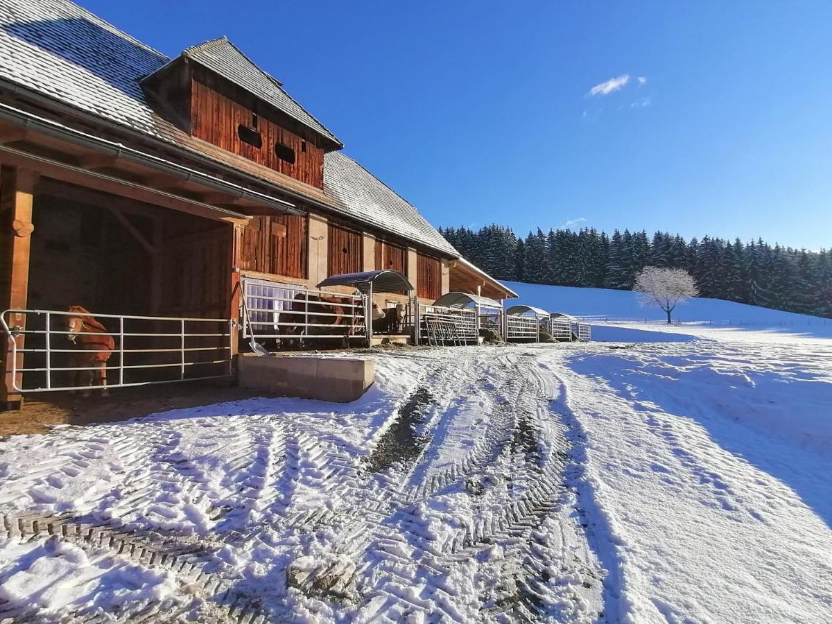 شقة Staudachhof Althofen  المظهر الخارجي الصورة