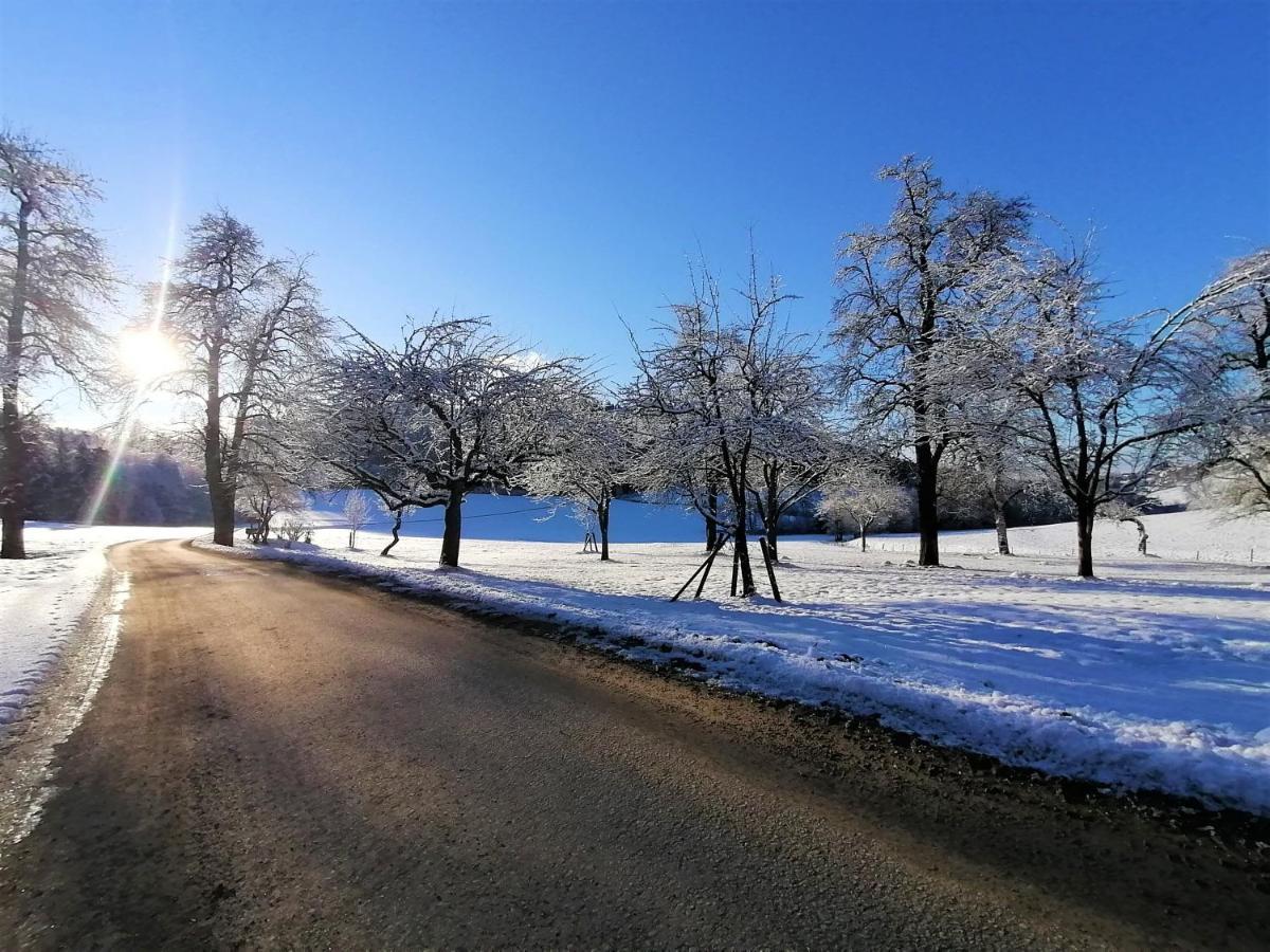 شقة Staudachhof Althofen  المظهر الخارجي الصورة
