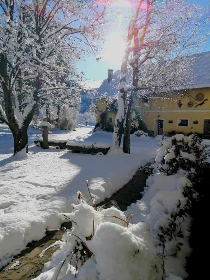 شقة Staudachhof Althofen  المظهر الخارجي الصورة