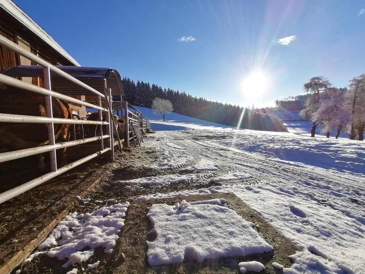 شقة Staudachhof Althofen  المظهر الخارجي الصورة